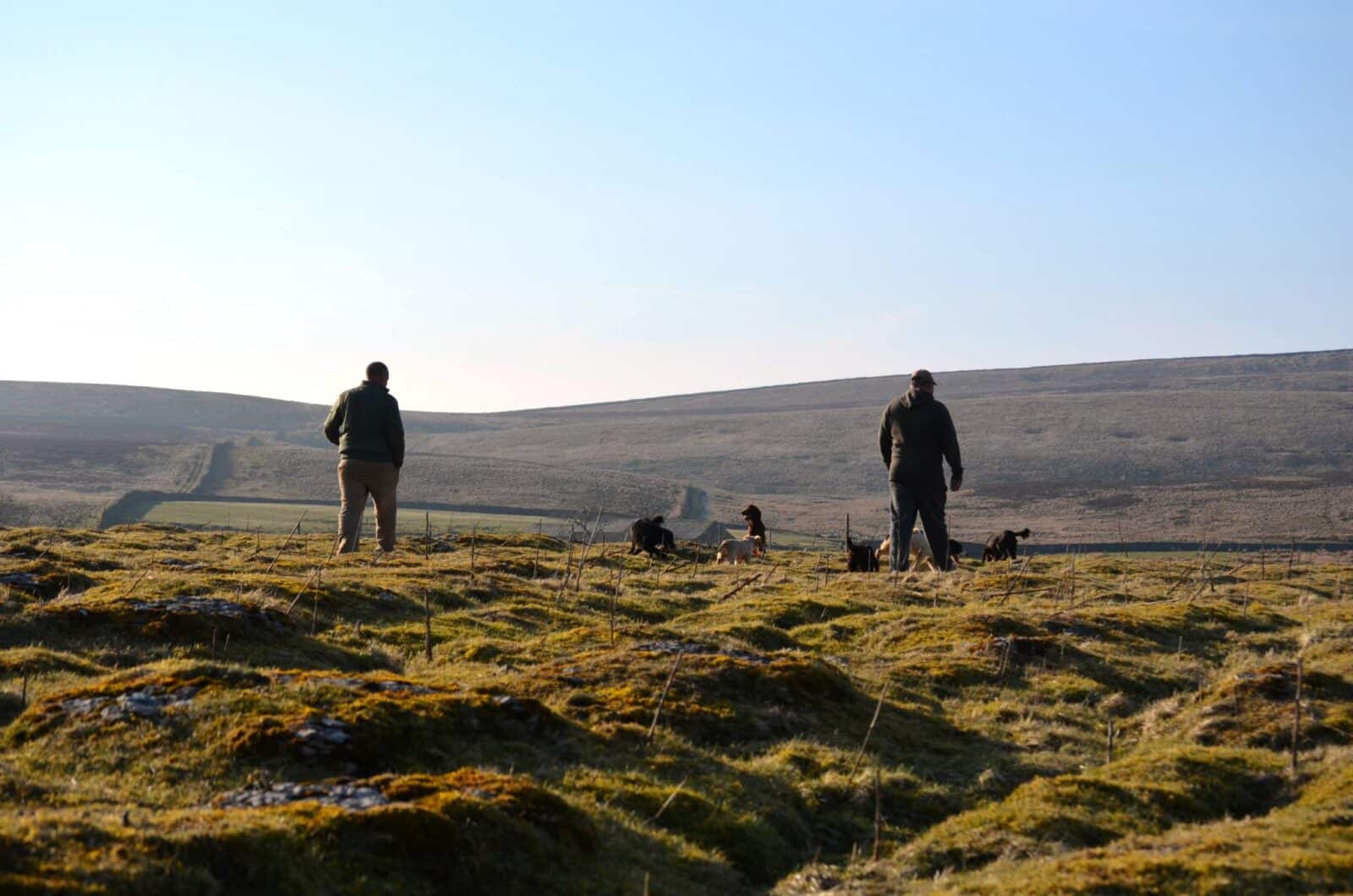 Welcome To <span>Gundog.World</span>